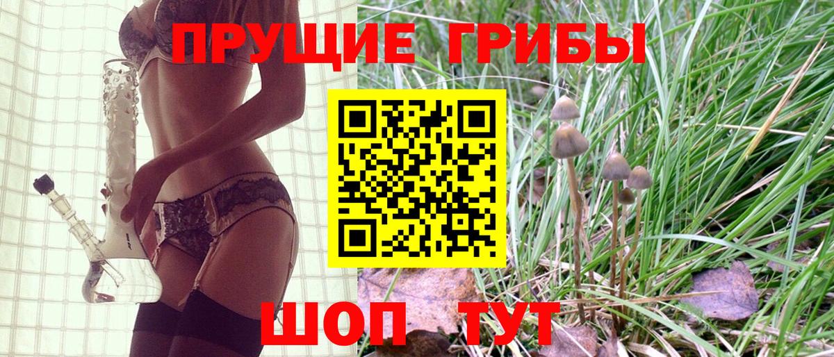 Псилоцибиновые грибы мухоморы  Вход с VPN  Павловский Посад  Галлюциногенные грибы Psilocybe 